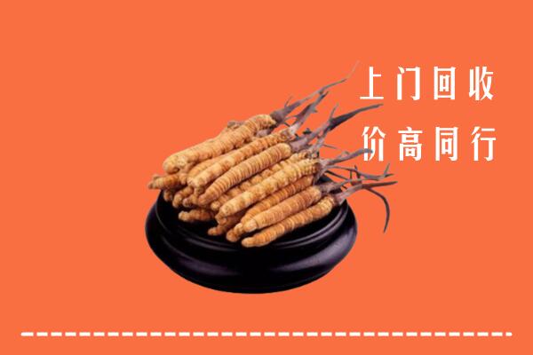 高价求购：辽源回收散虫草