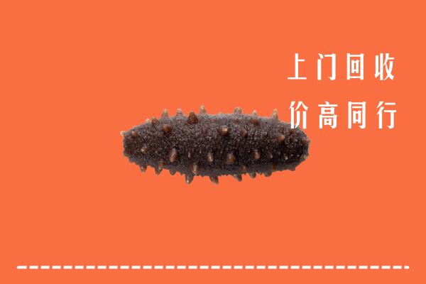 高价求购：辽源回收海参