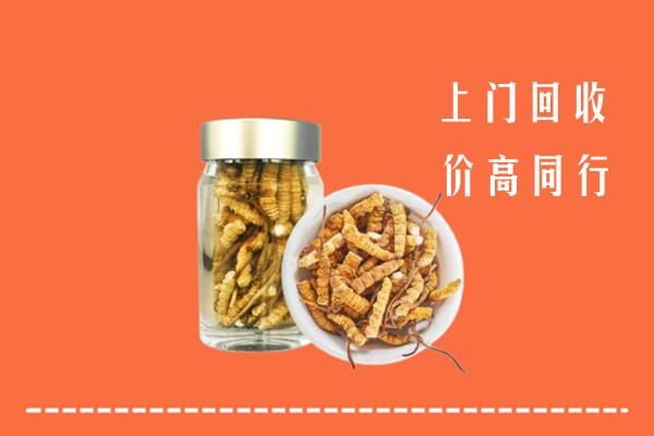 辽源回收冬虫夏草